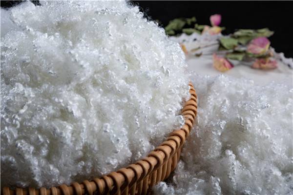 Polyester Staple Fiber (PSF)